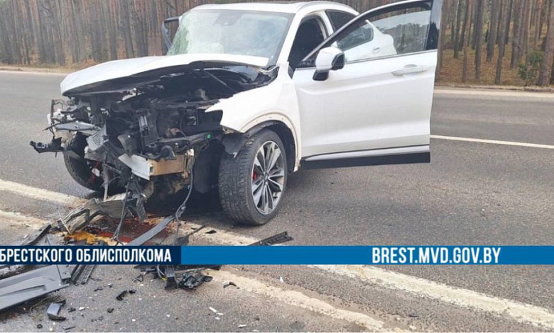 В результате ДТП в Брестской области травмирован водитель